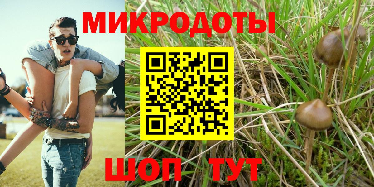 Галлюциногенные грибы ЛСД Ипатово