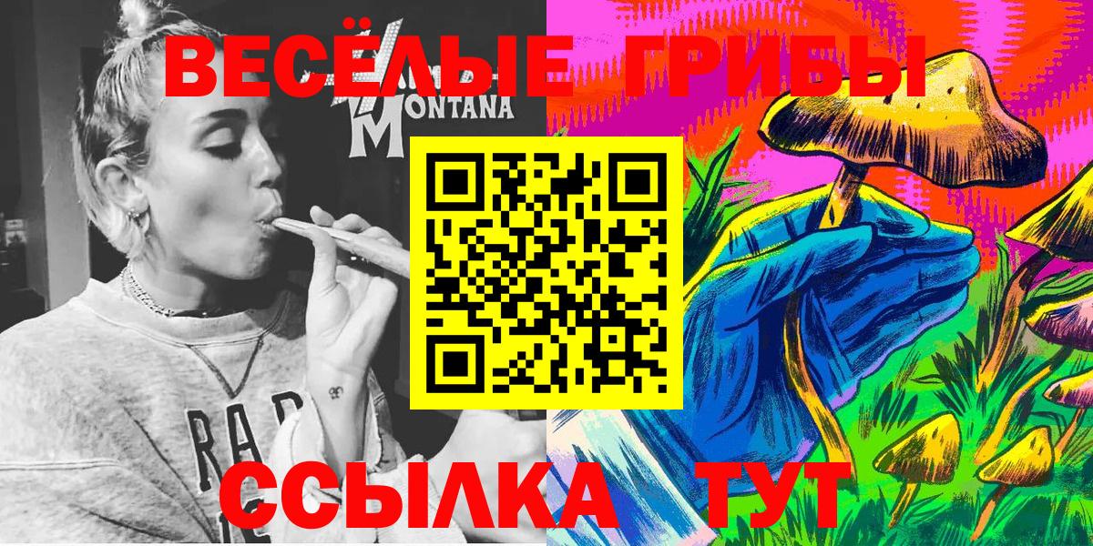 Ипатово  Галлюциногенные грибы MAGIC MUSHROOMS  Вход с VPN  Галлюциногенные грибы мухоморы 